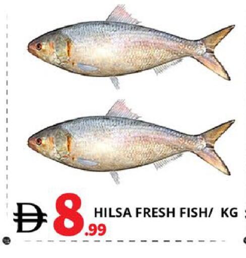 available at اكسبرس المدينة هايبرماركت in الإمارات العربية المتحدة , الامارات - أبو ظبي