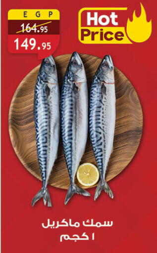 available at الرايه  ماركت in Egypt - القاهرة