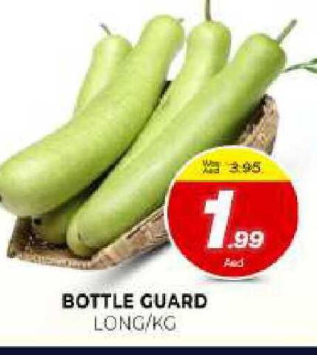 available at المدينة in الإمارات العربية المتحدة , الامارات - الشارقة / عجمان