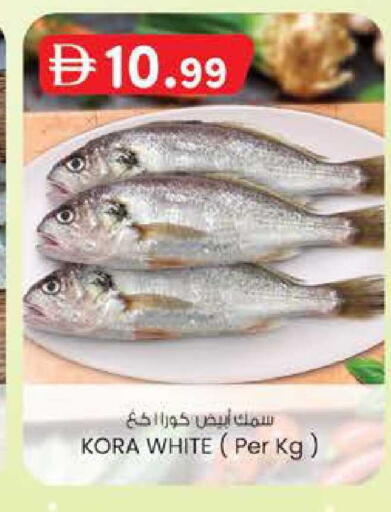 available at Safa Express Supermarket in UAE - Abu Dhabi
