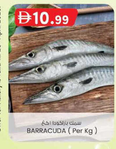 available at K.M Hypermarket in UAE - Abu Dhabi