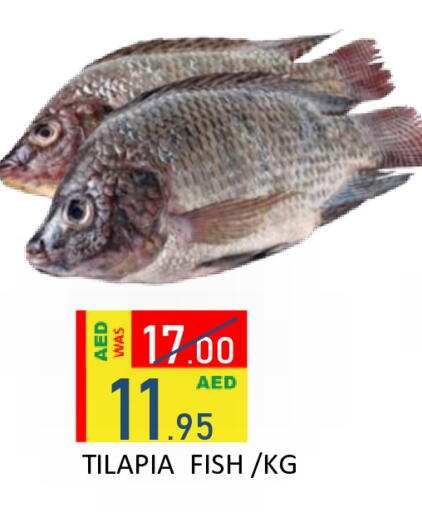 available at رويال جلف هايبرماركت in الإمارات العربية المتحدة , الامارات - أبو ظبي