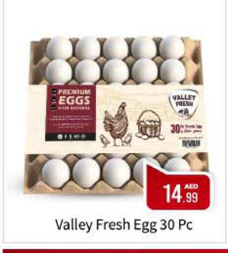 available at بيج مارت in الإمارات العربية المتحدة , الامارات - أبو ظبي