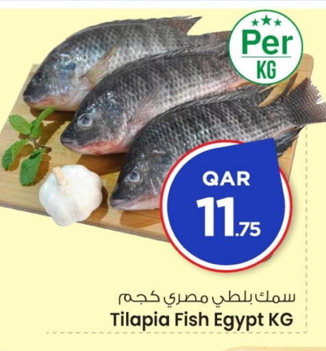 available at مارك & سيف in قطر - الضعاين