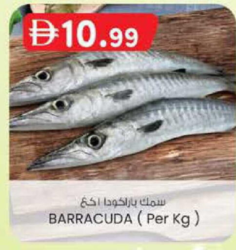 available at K M Trading  in UAE - Sharjah / Ajman