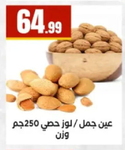 available at El Mahlawy Stores in Egypt - Cairo