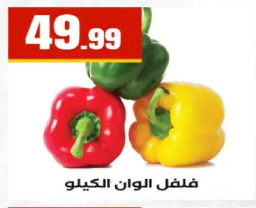 available at El Mahlawy Stores in Egypt - Cairo