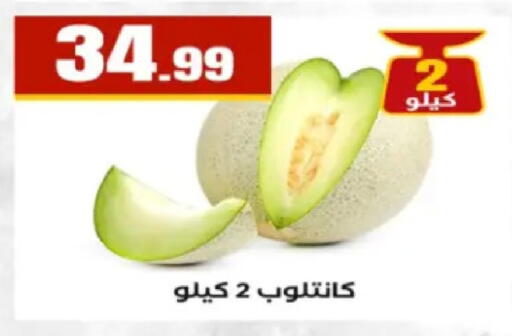 available at El Mahlawy Stores in Egypt - Cairo