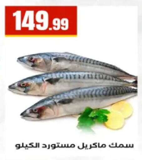 available at El Mahlawy Stores in Egypt - Cairo