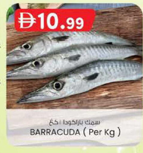 available at ك. الم. للتجارة in الإمارات العربية المتحدة , الامارات - دبي