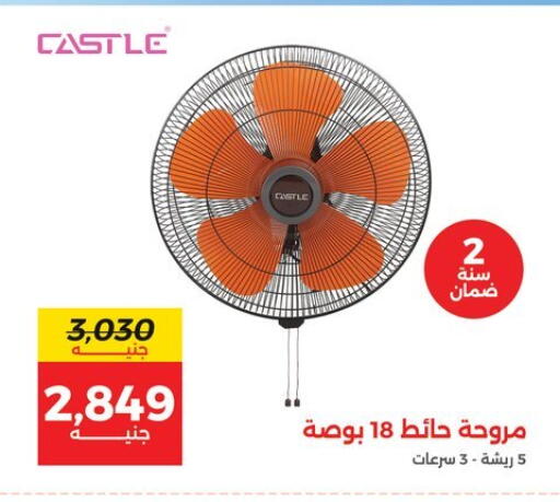 available at Raneen in Egypt - Cairo