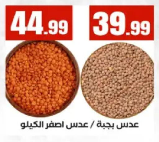 available at El Mahlawy Stores in Egypt - Cairo