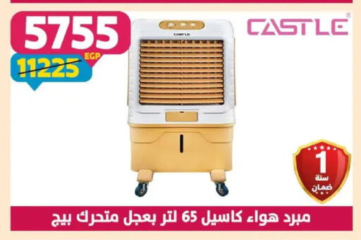 available at Shaheen Center in Egypt - Cairo