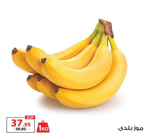 available at  Zahran Market in Egypt - Cairo