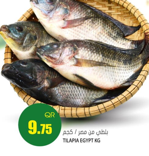 available at جراند هايبرماركت in قطر - الريان