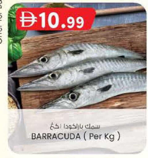 available at صفا هايبر in الإمارات العربية المتحدة , الامارات - ٱلْعَيْن‎