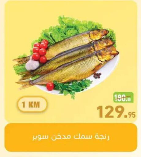 available at أسواق العثيم in Egypt - القاهرة