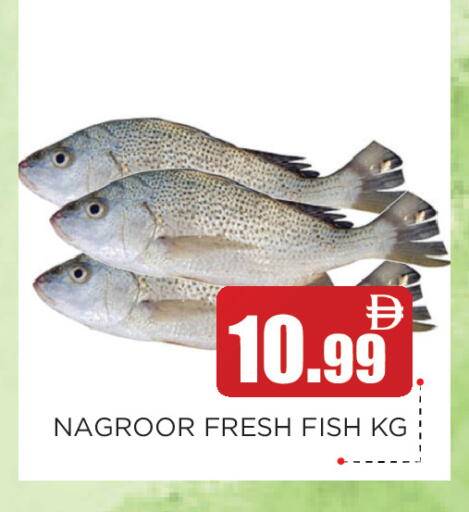 available at عين المدينة هايبرماركت in الإمارات العربية المتحدة , الامارات - الشارقة / عجمان