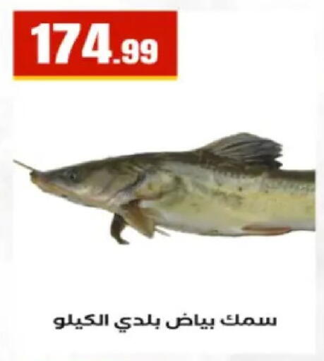 available at El Mahlawy Stores in Egypt - Cairo