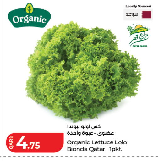 Lettuce from Qatar available at LuLu Hypermarket in Qatar - Doha