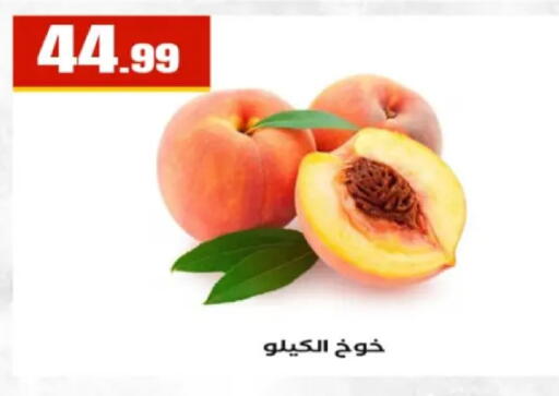 available at El Mahlawy Stores in Egypt - Cairo