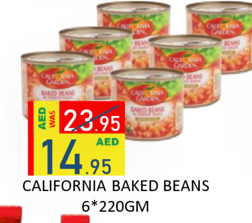 available at رويال جلف هايبرماركت in الإمارات العربية المتحدة , الامارات - أبو ظبي