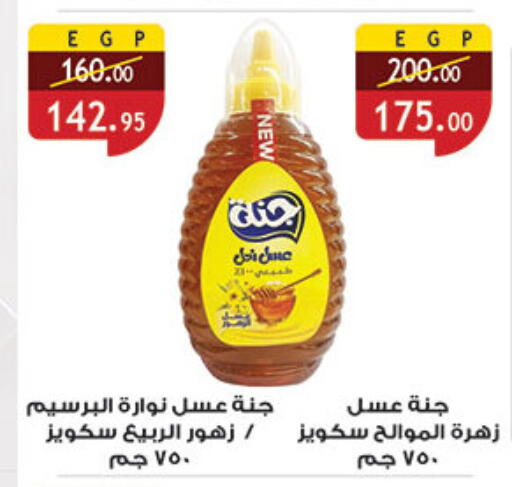 available at الرايه  ماركت in Egypt - القاهرة