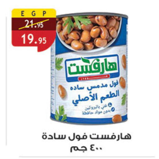 available at الرايه  ماركت in Egypt - القاهرة