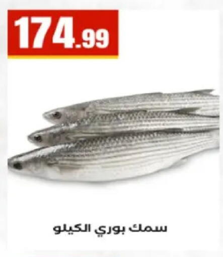 available at El Mahlawy Stores in Egypt - Cairo