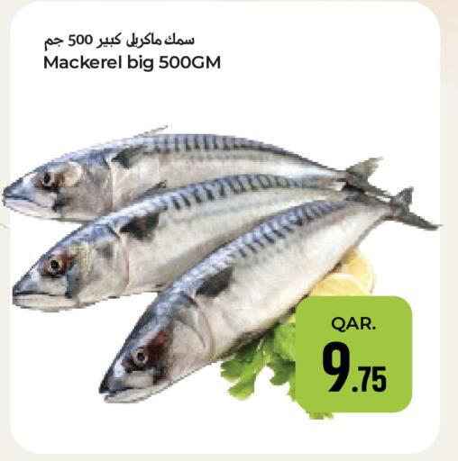 available at Paris Hypermarket in Qatar - Doha
