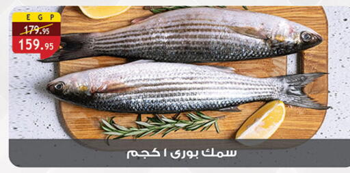 available at الرايه  ماركت in Egypt - القاهرة