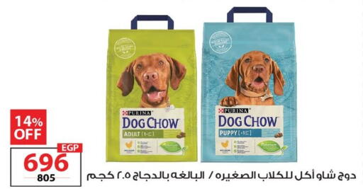 available at  Zahran Market in Egypt - Cairo