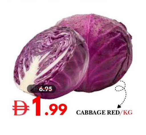 Cabbage available at ديزرت فريش ماركت in الإمارات العربية المتحدة , الامارات - أبو ظبي
