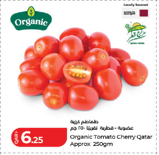 Cherry Tomato from Qatar available at LuLu Hypermarket in Qatar - Doha