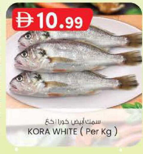 available at ك. الم. للتجارة in الإمارات العربية المتحدة , الامارات - دبي