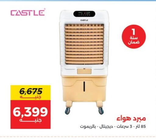 available at Raneen in Egypt - Cairo