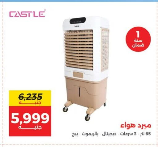 available at Raneen in Egypt - Cairo