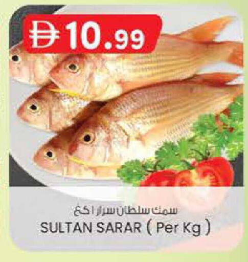 available at ك. الم. للتجارة in الإمارات العربية المتحدة , الامارات - دبي