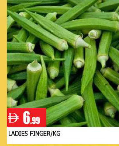 available at AL MADINA in UAE - Sharjah / Ajman