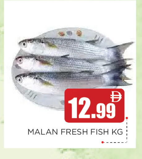 available at عين المدينة هايبرماركت in الإمارات العربية المتحدة , الامارات - الشارقة / عجمان