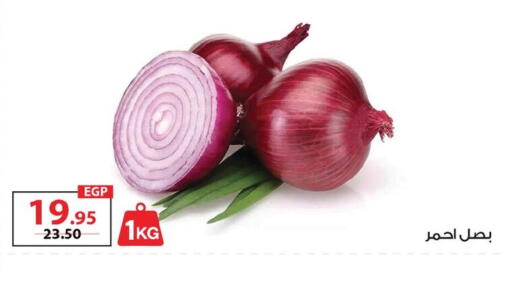 available at  Zahran Market in Egypt - Cairo