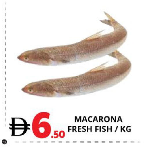 available at اكسبرس المدينة هايبرماركت in الإمارات العربية المتحدة , الامارات - أبو ظبي