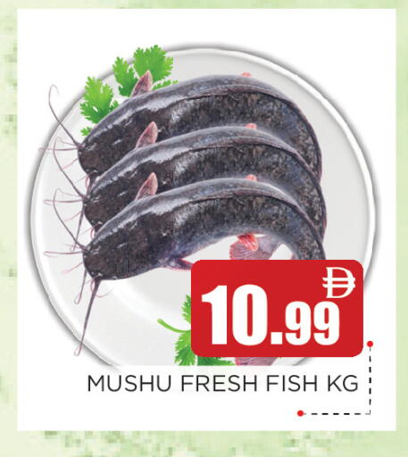 available at عين المدينة هايبرماركت in الإمارات العربية المتحدة , الامارات - الشارقة / عجمان