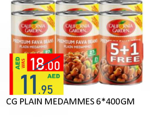 available at رويال جلف هايبرماركت in الإمارات العربية المتحدة , الامارات - أبو ظبي