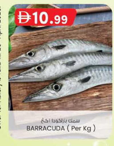 available at Safa Express Supermarket in UAE - Abu Dhabi