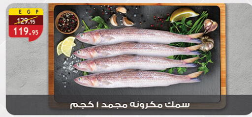 available at الرايه  ماركت in Egypt - القاهرة