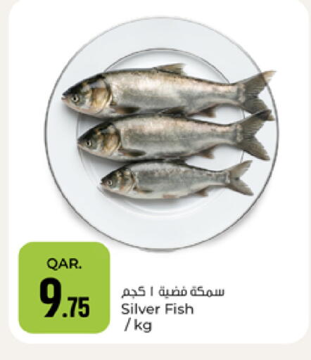 available at Paris Hypermarket in Qatar - Doha