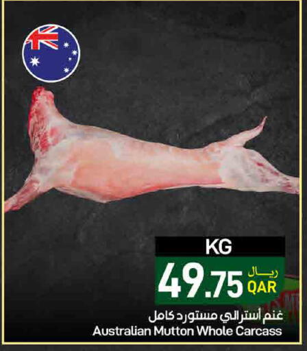 available at ســبــار in قطر - أم صلال