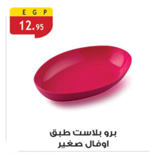 available at الرايه  ماركت in Egypt - القاهرة