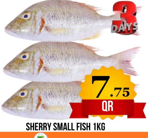 available at Dubai Shopping Center in Qatar - Doha